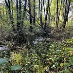 Seaways - Ruhige Lage - & Erholung Auf 6500m2 Garten *